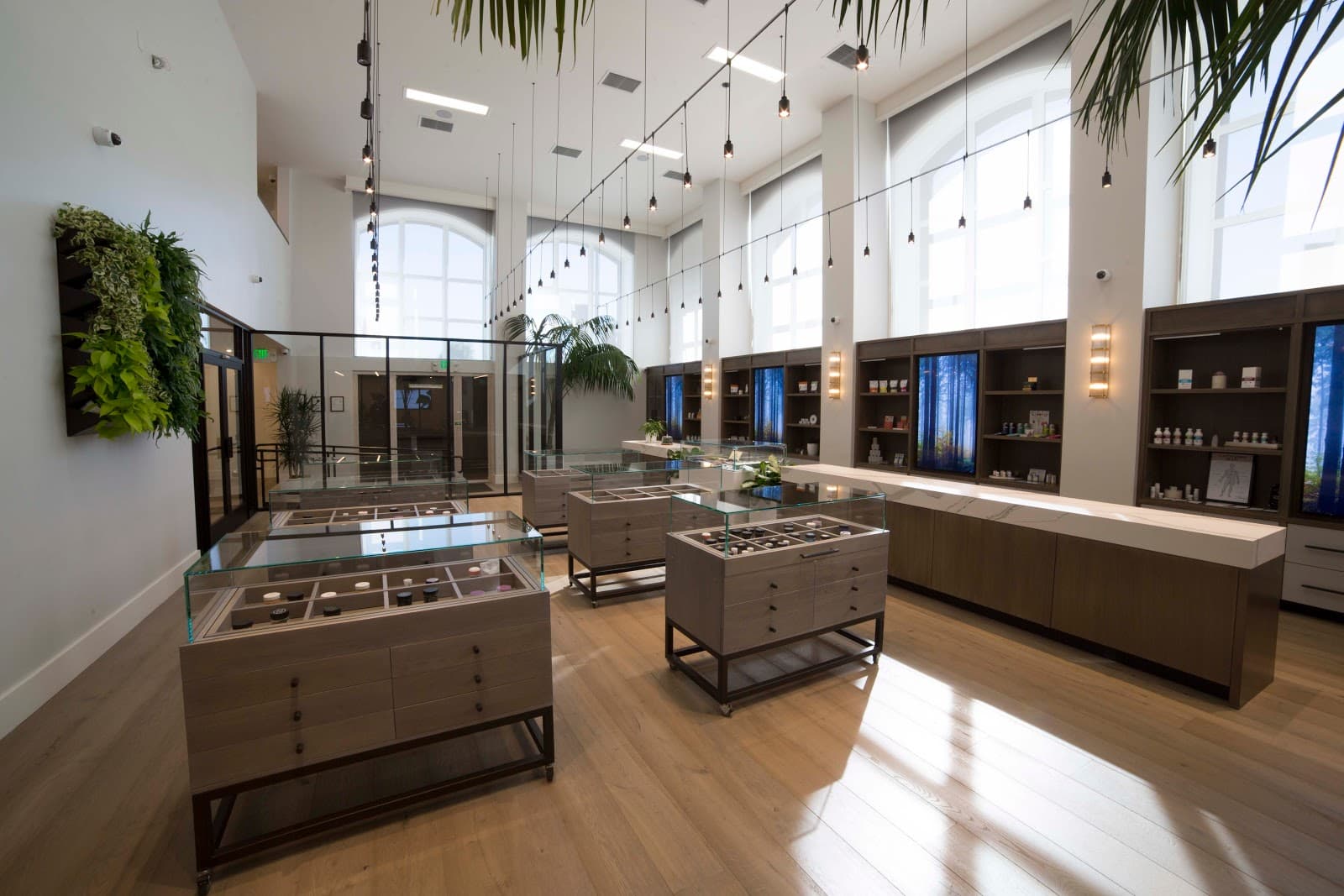 Atrium photo 3